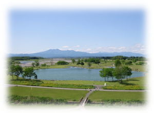 鬼怒川河川公園の写真1