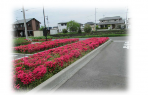 上阿久津台地公園の写真4