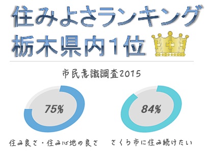 住みよさランキングの図