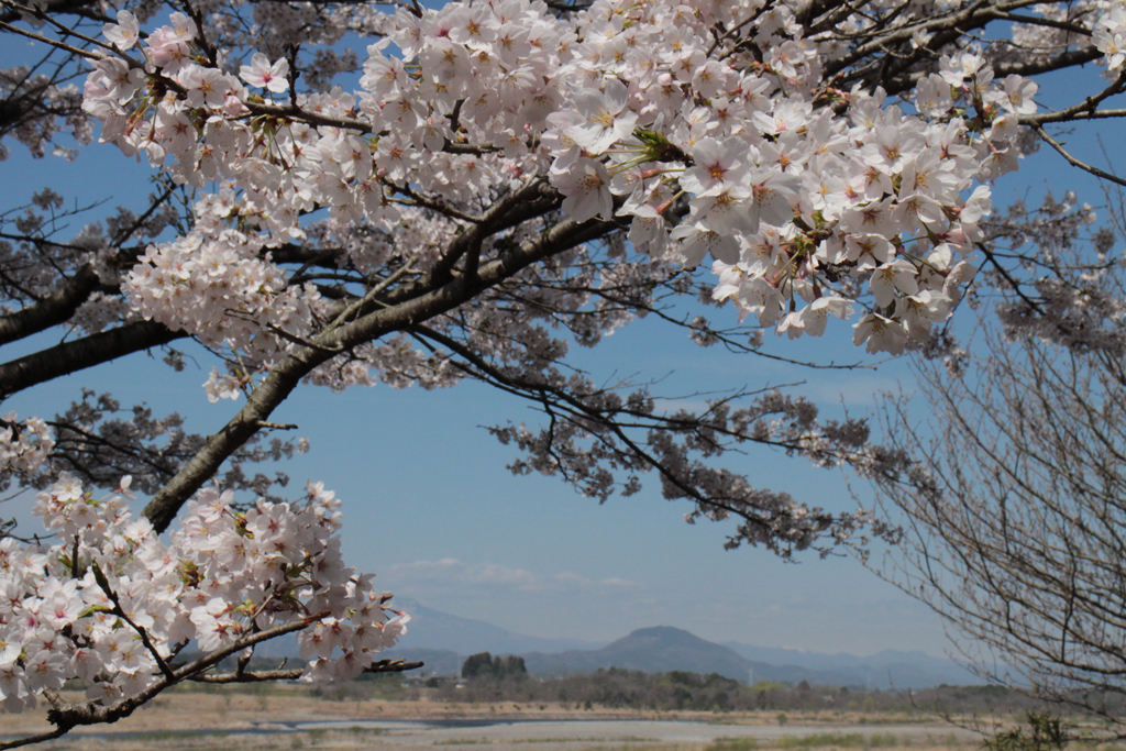 勝山公園の写真