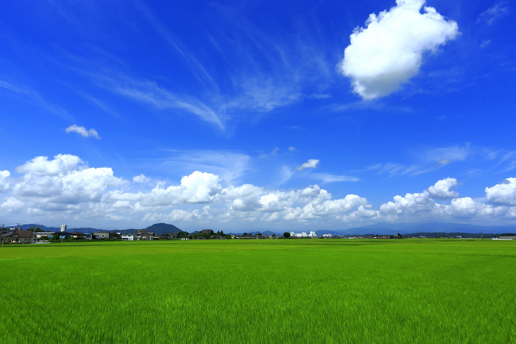 さくら市の風景