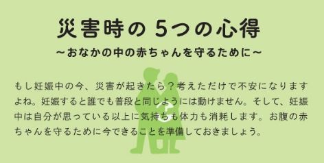 災害時の5つの心得～おなかの赤ちゃんを守るために～表紙画像