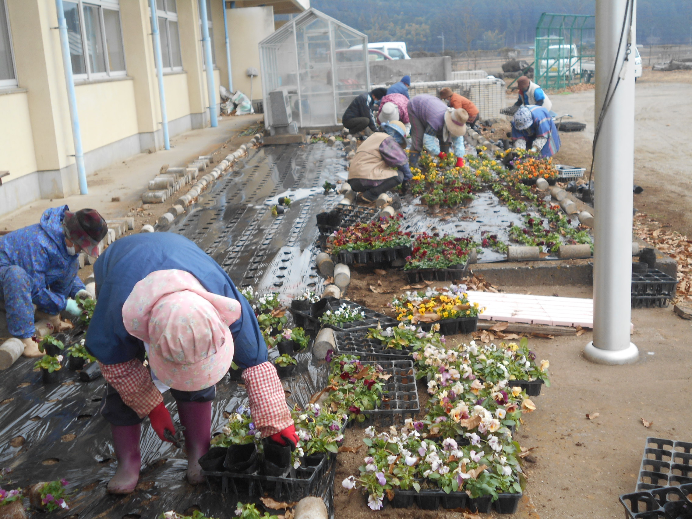 花植えをする様子