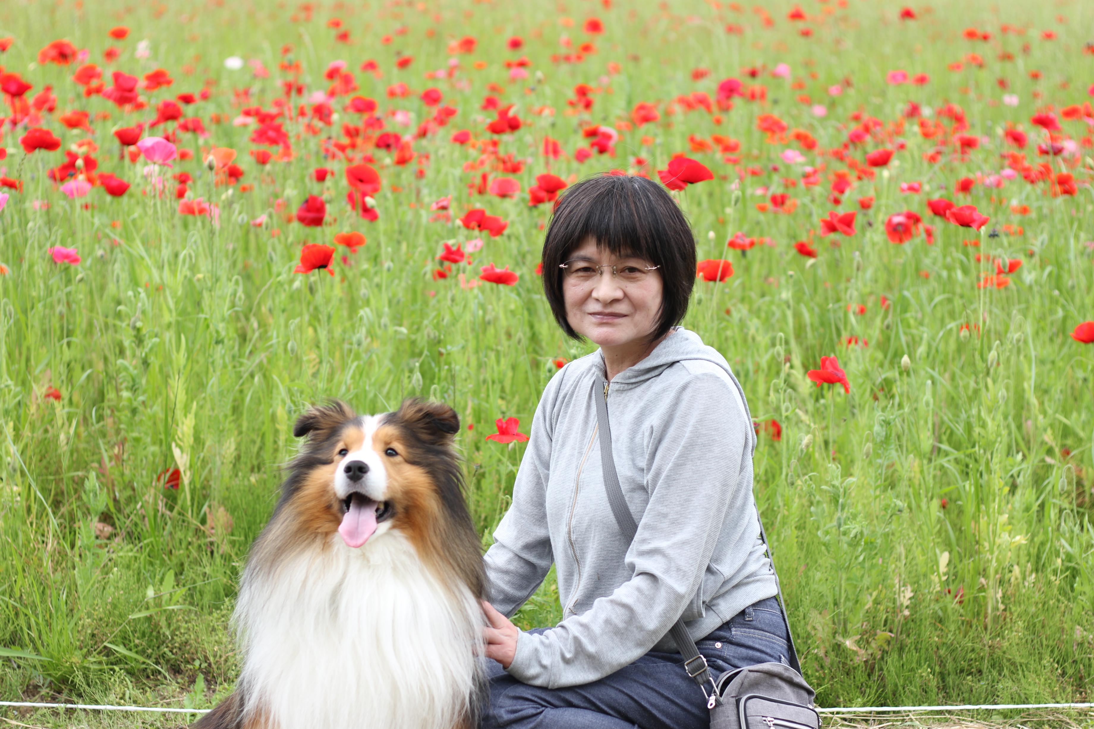 ワンちゃん（コリー）と飼い主さんの写真