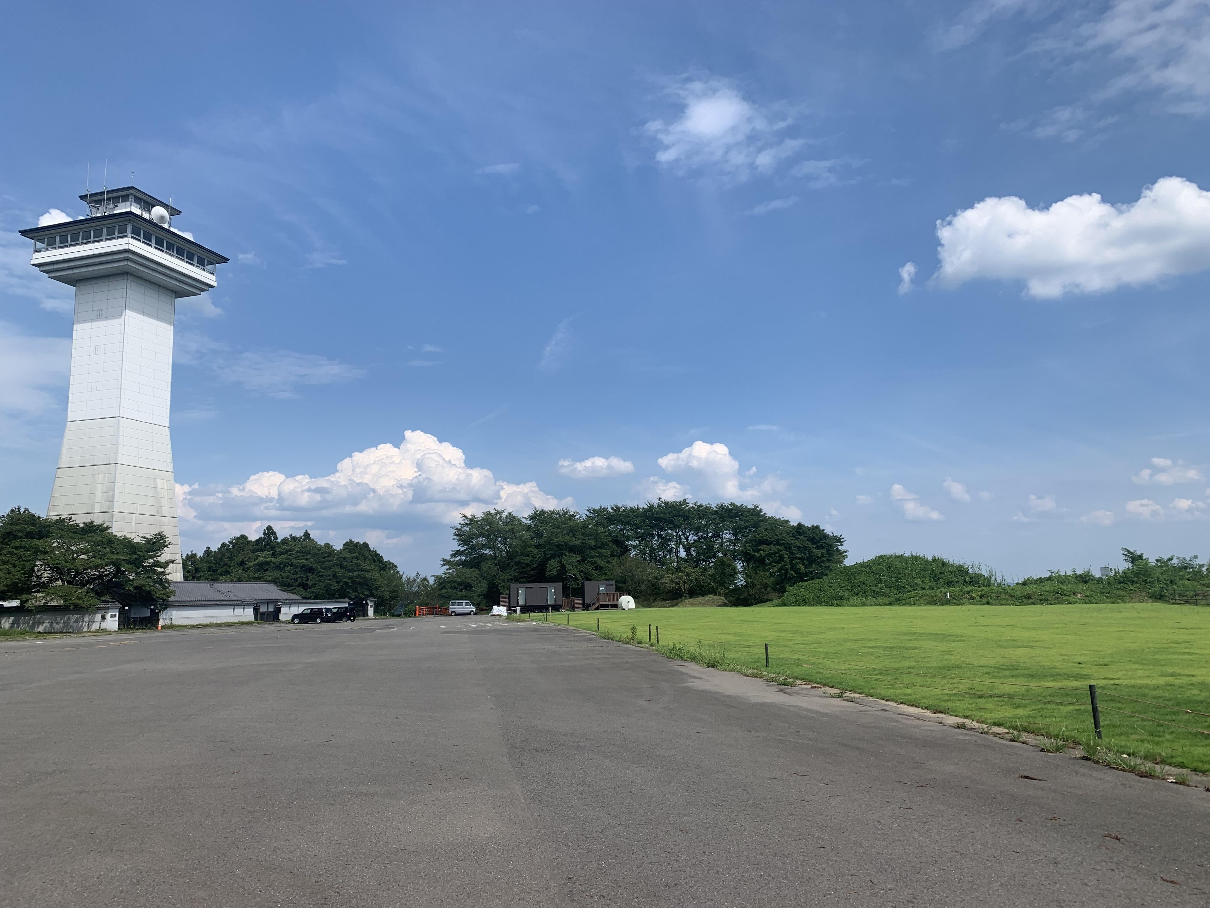 スカイタワーと芝生エリア