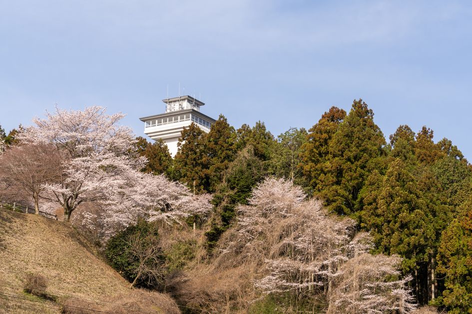 お丸山公園の写真2