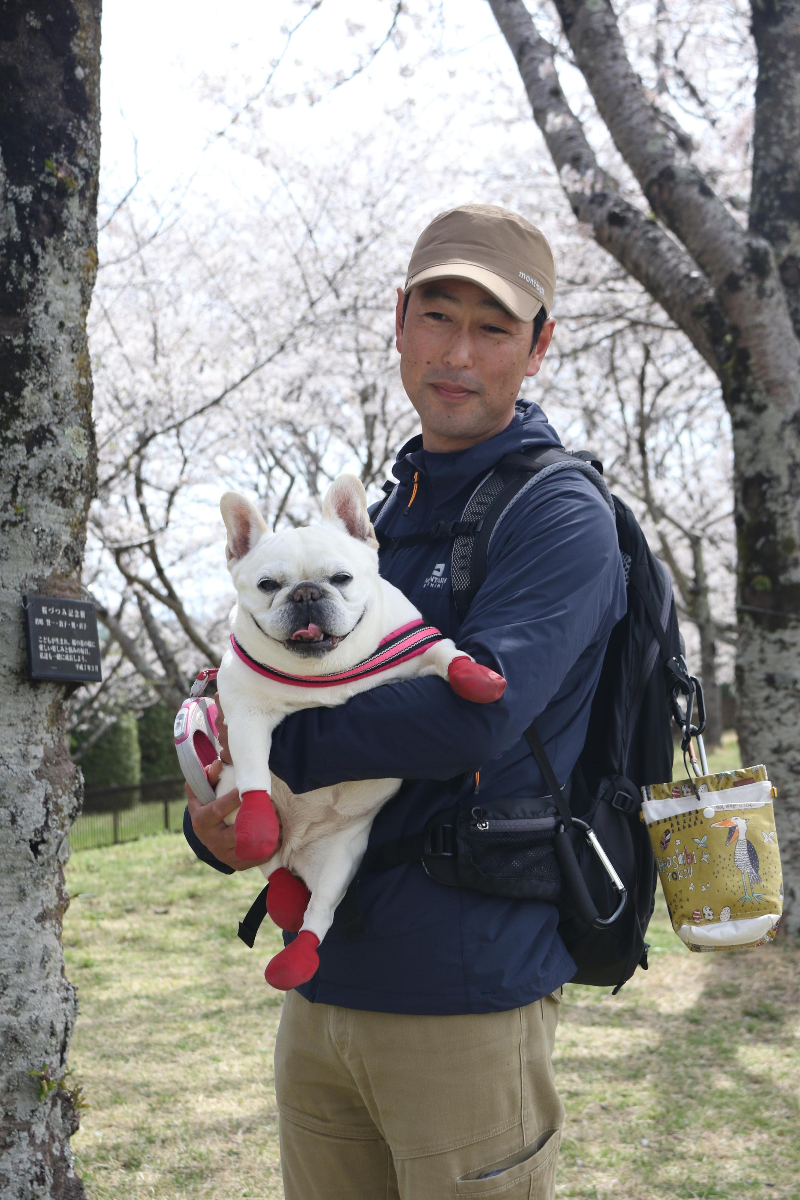 男性と犬の写真