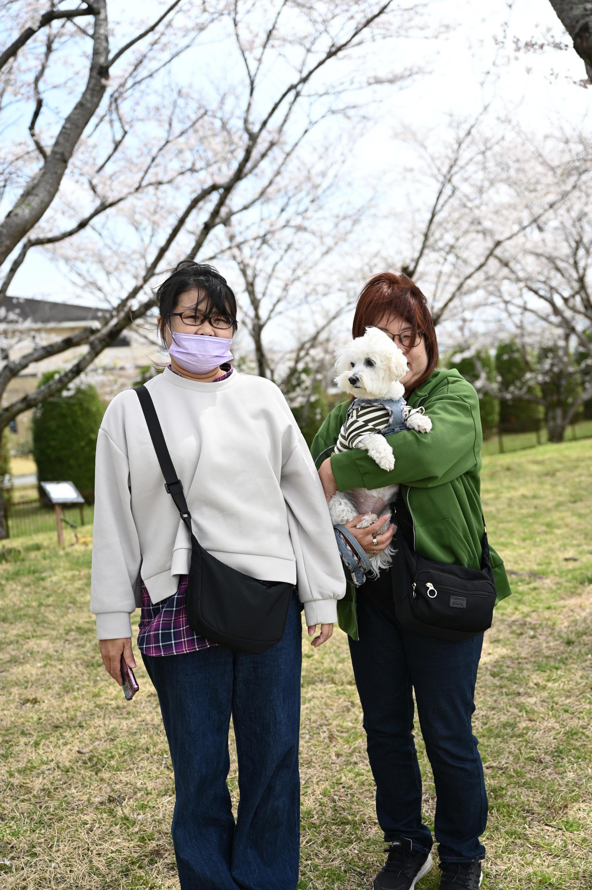 犬と家族の写真