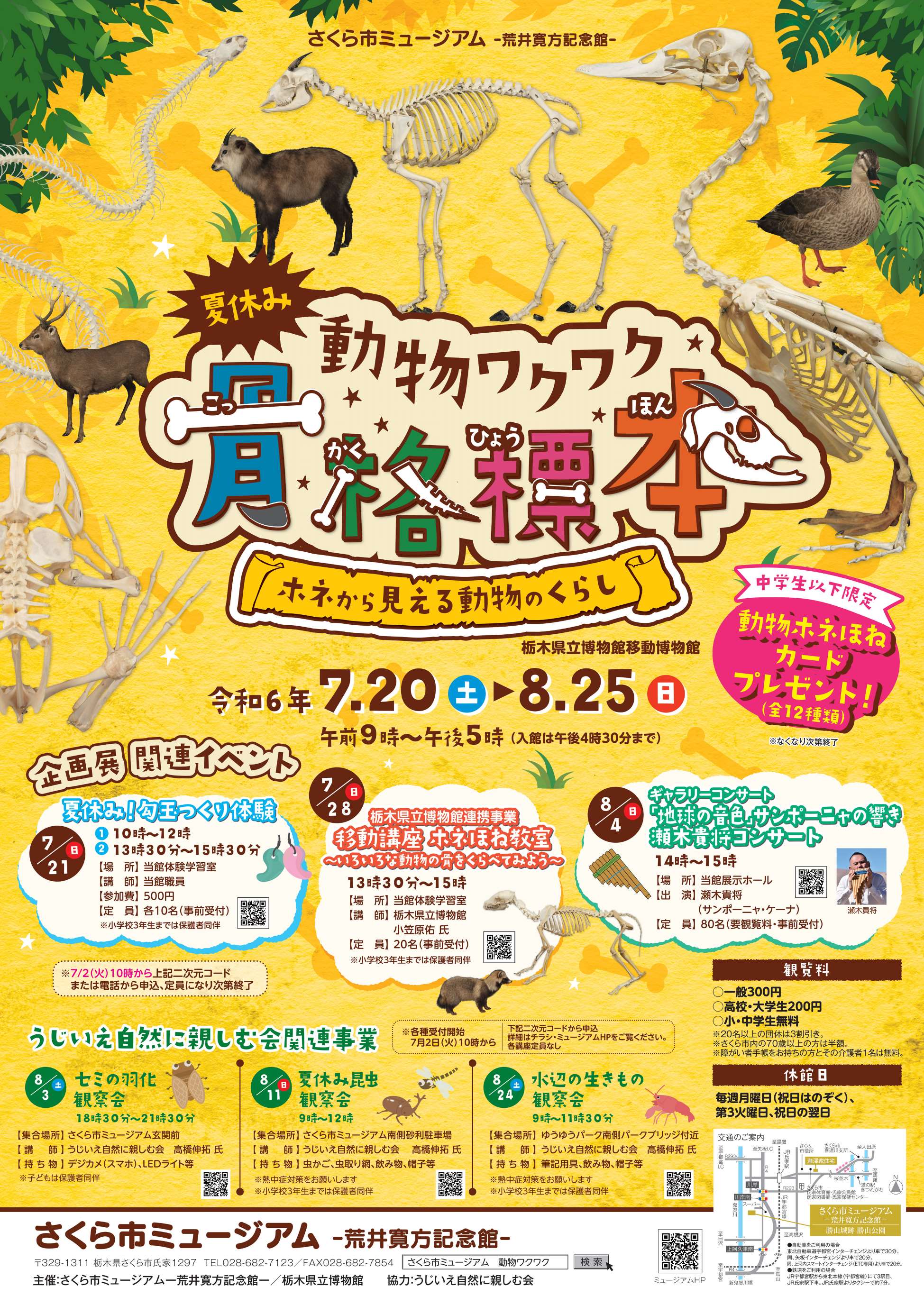 【開催終了】栃木県立博物館移動博物館　夏休み動物ワクワク骨格標本〜ホネから見える動物のくらし〜