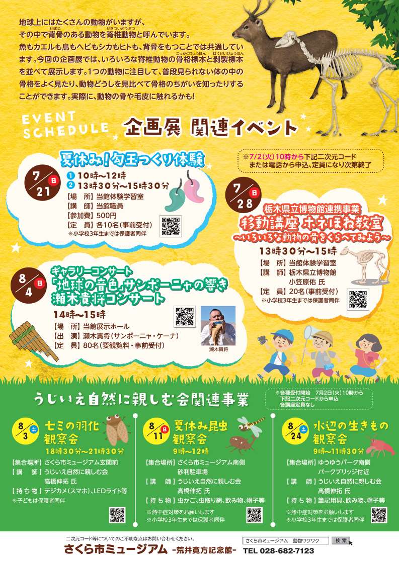 開催終了】栃木県立博物館移動博物館 夏休み動物ワクワク骨格