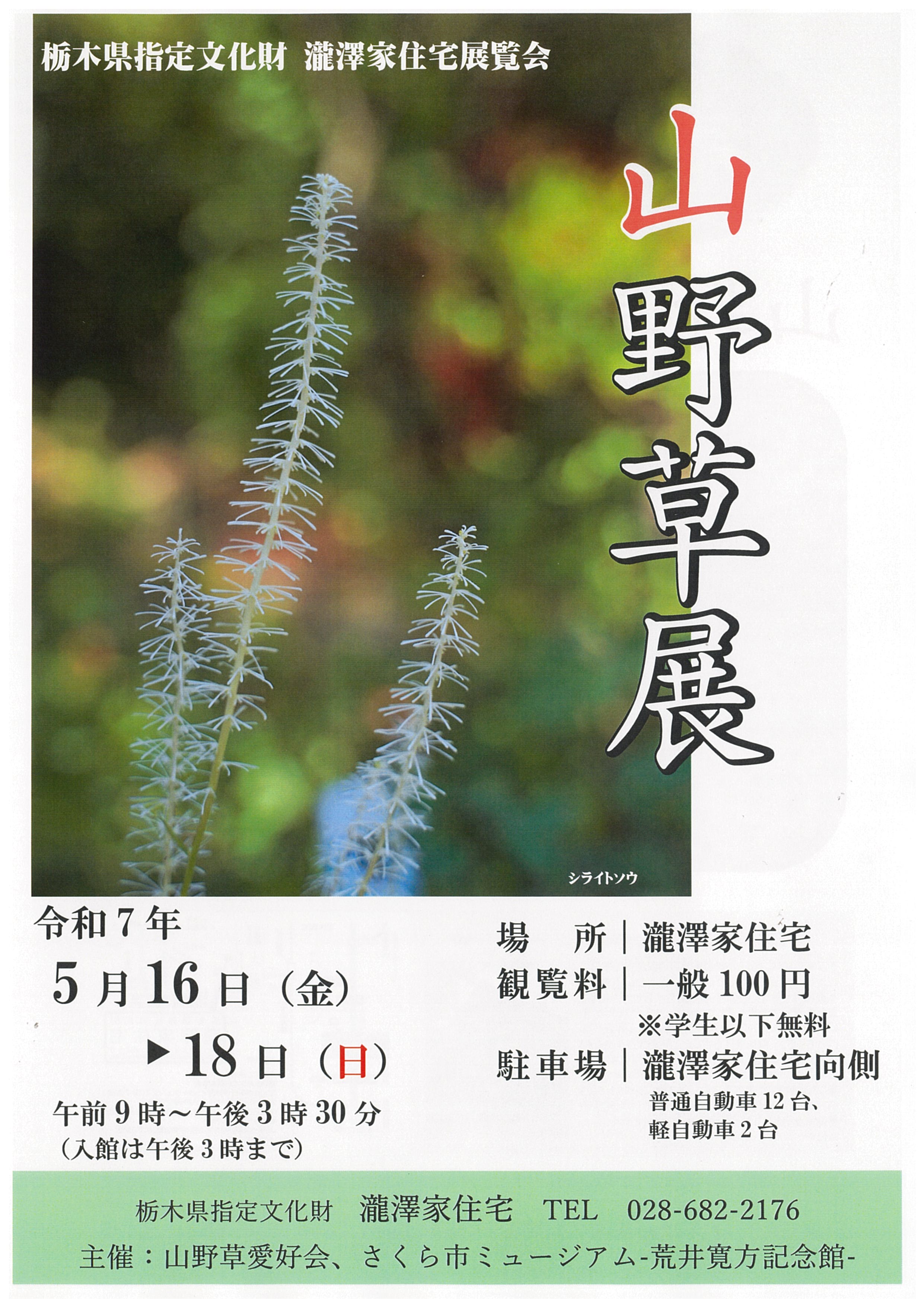 表面