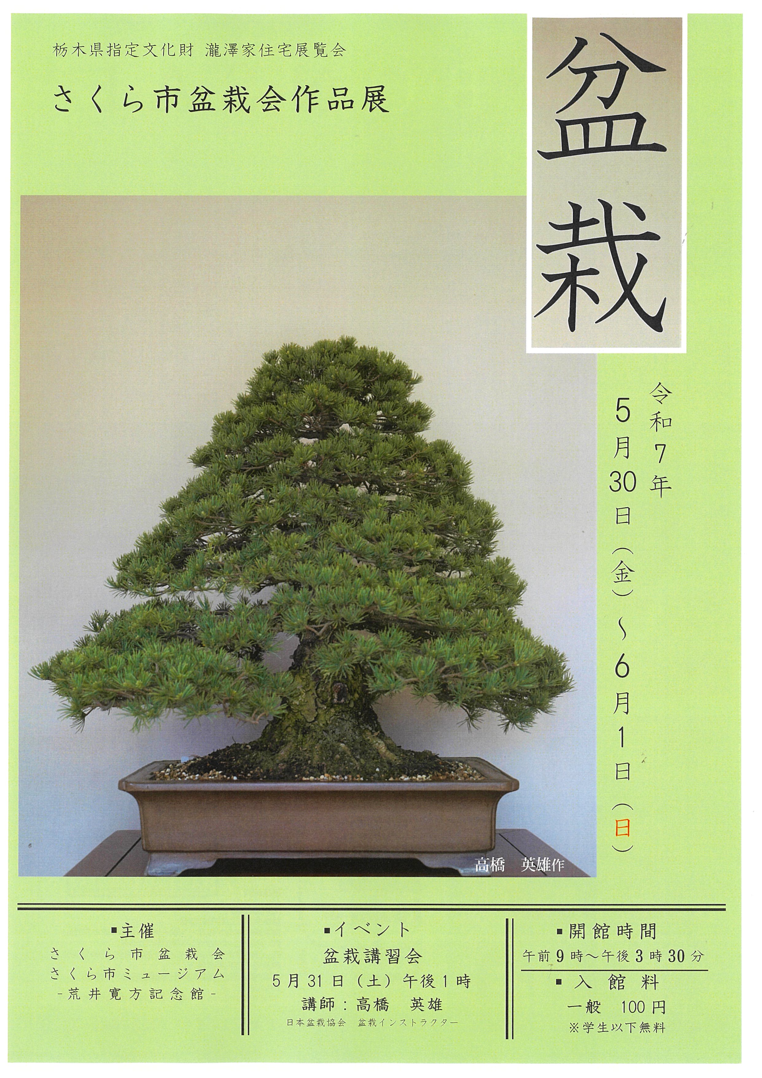 瀧澤家住宅 展覧会｢さくら市盆栽会作品展｣