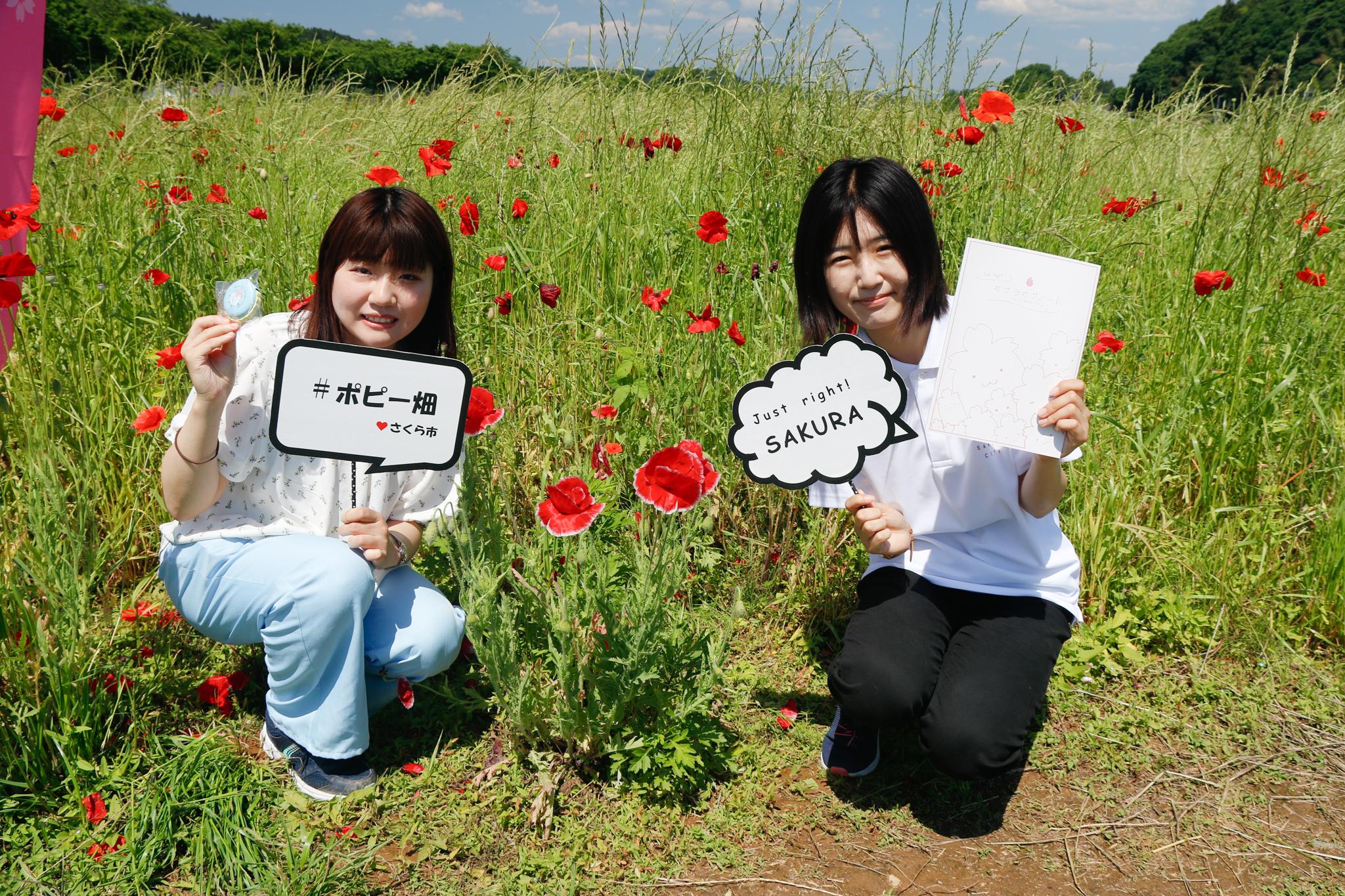 ポピー畑にいる女性二人の写真
