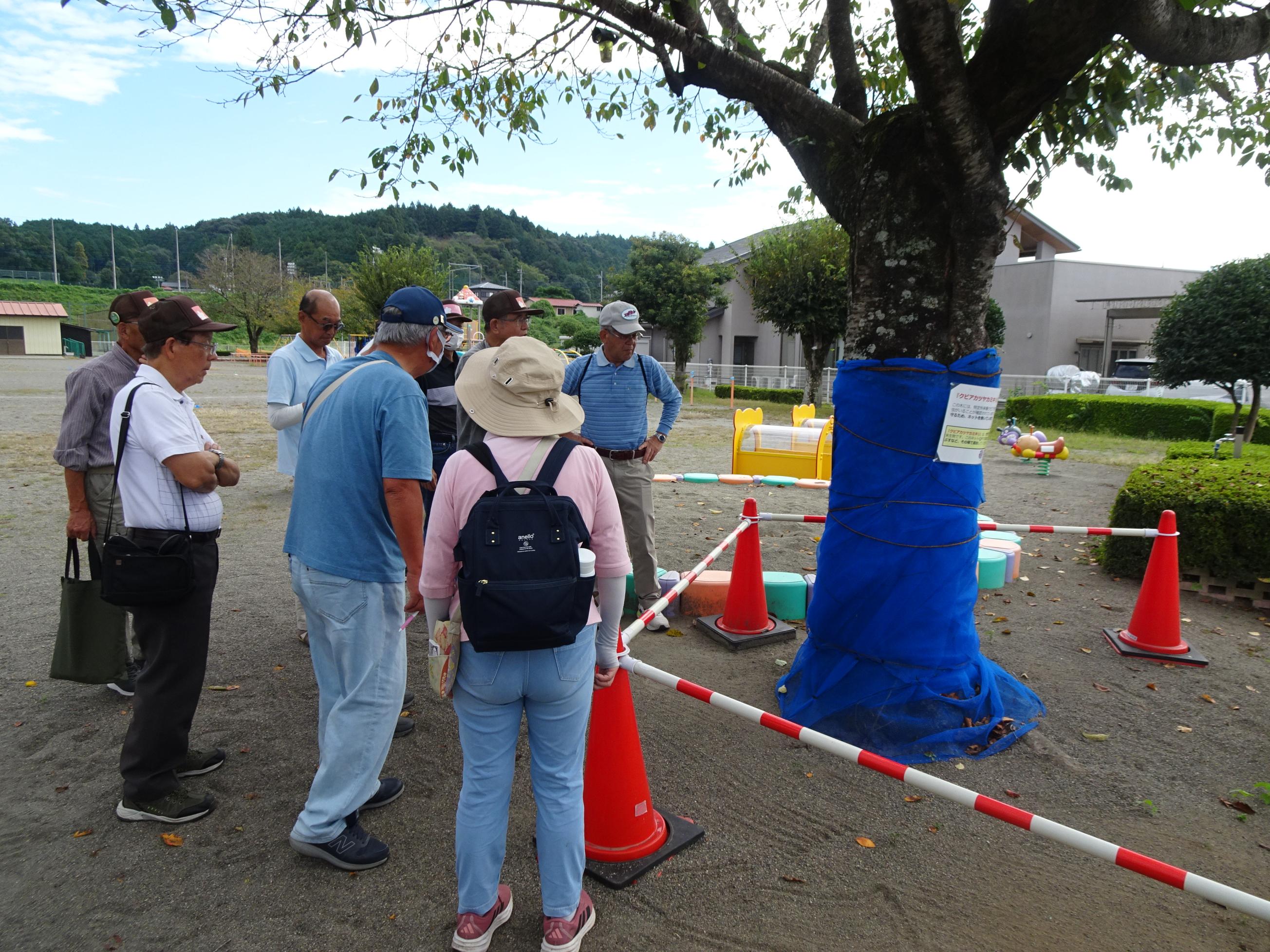 現地視察の様子1