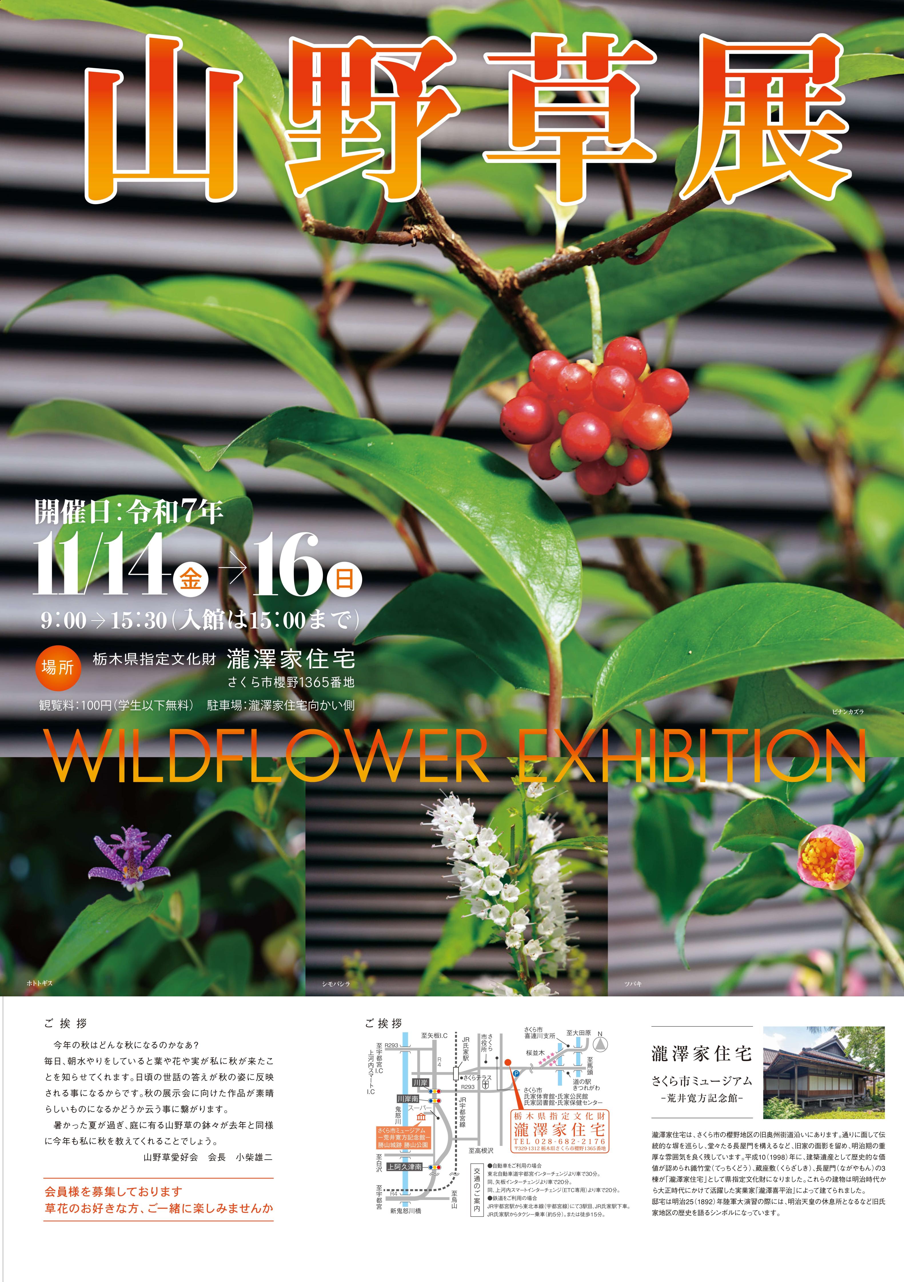 瀧澤家住宅 展覧会｢秋の山野草展｣