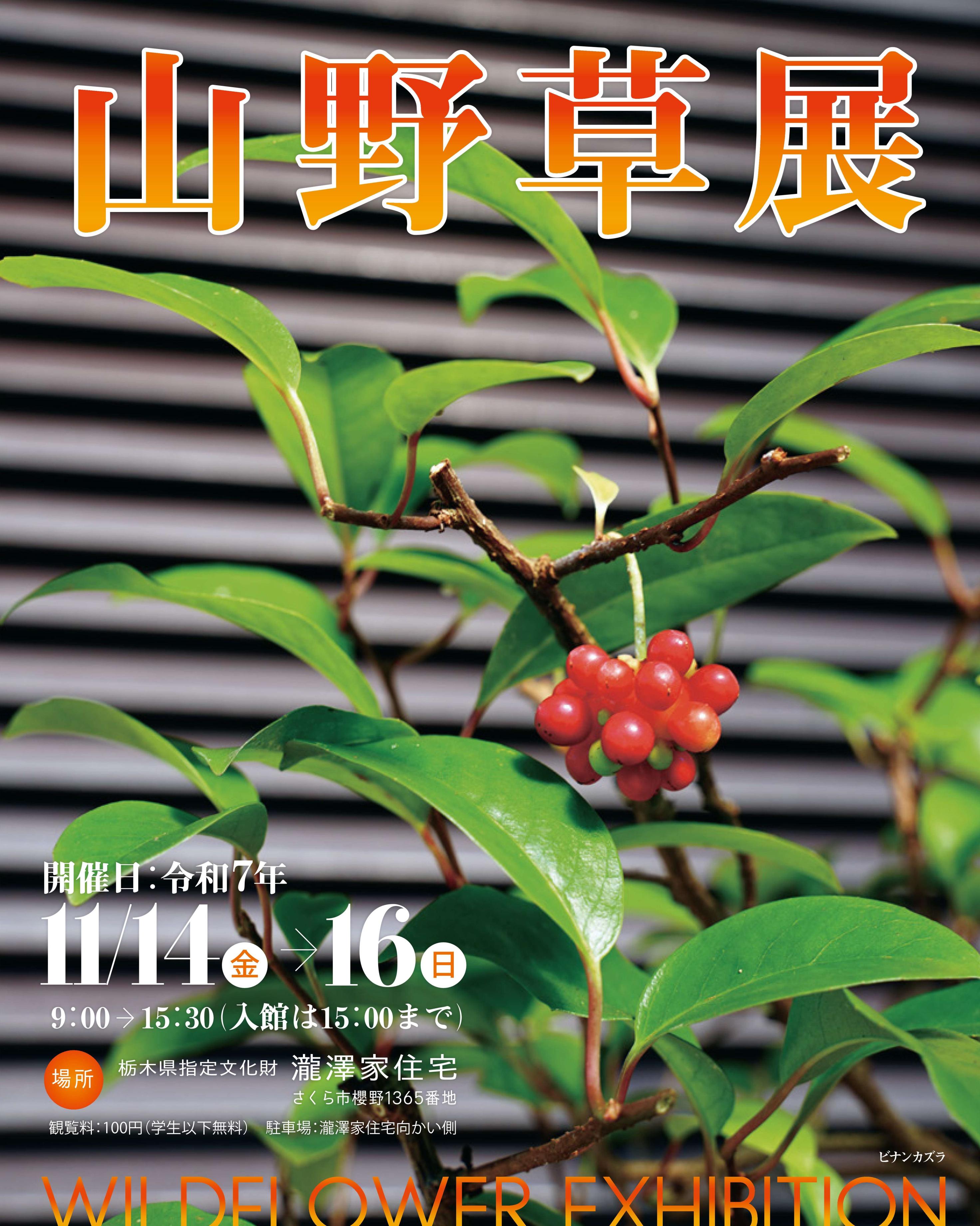 山野草展リーフレットA4