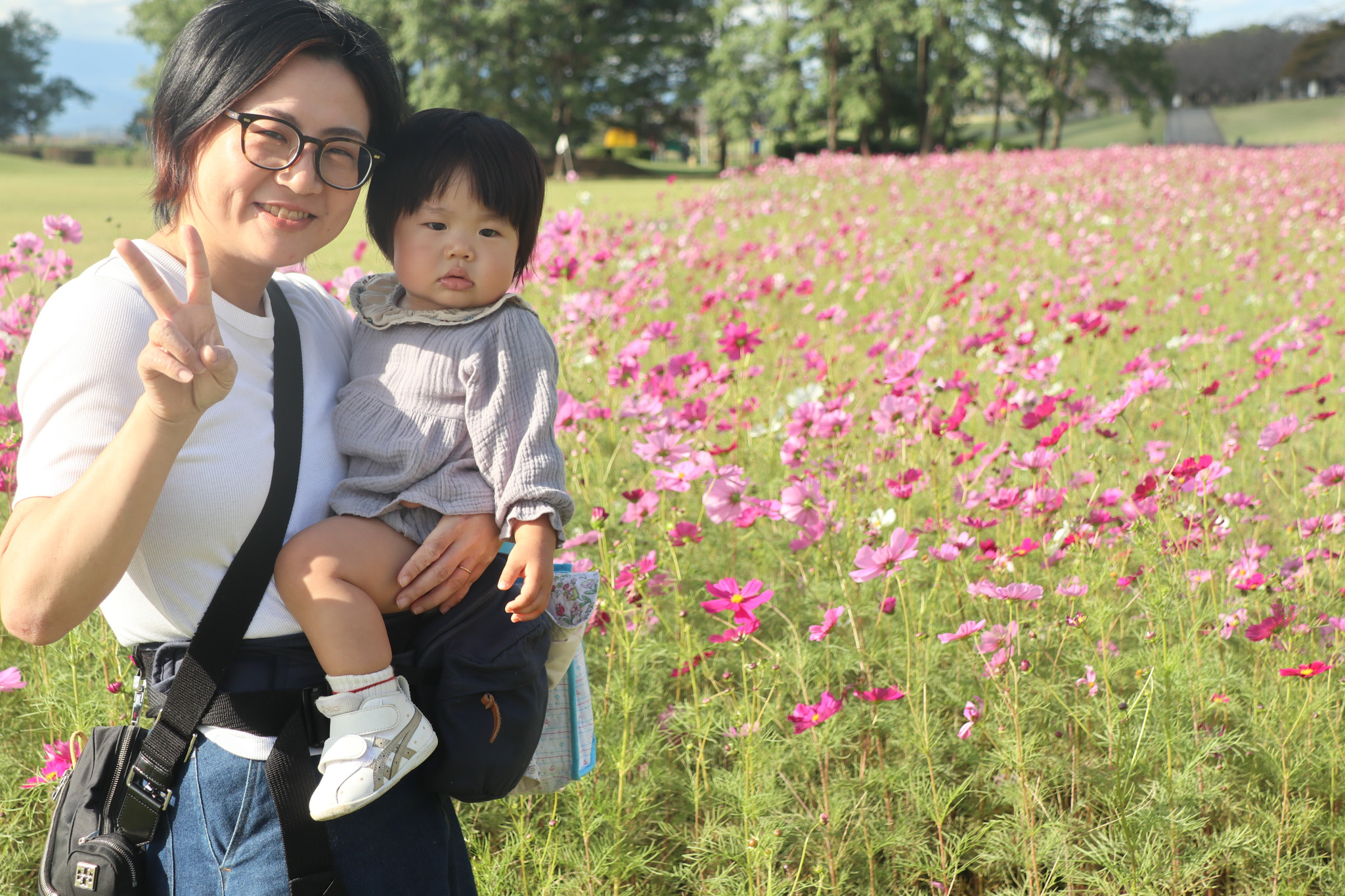コスモス撮影会(2)_お母さんとお子さん コスモス撮影会(2)_お母さんとお子さん