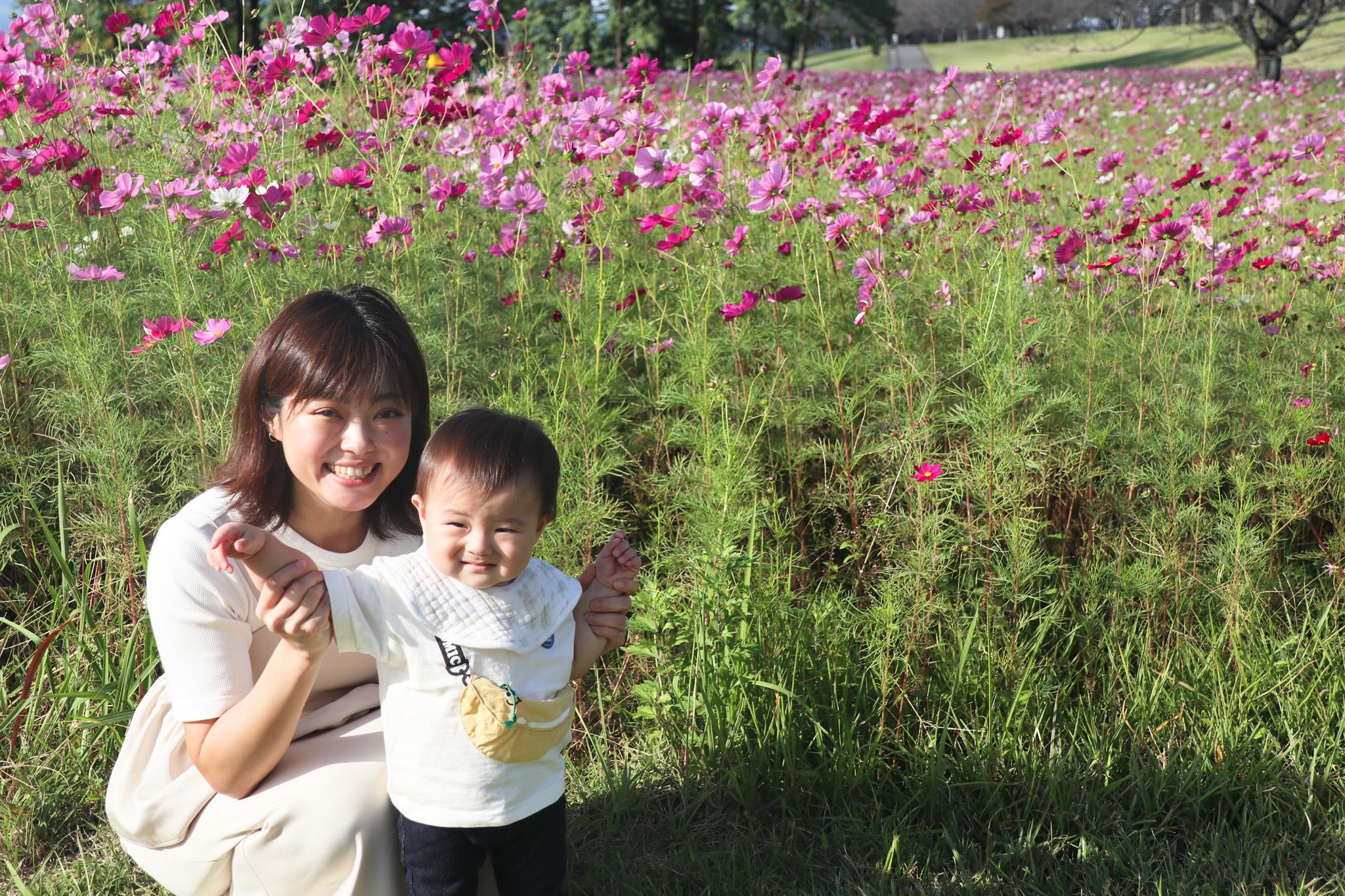 コスモス撮影会(4)_お母さんとお子さん コスモス撮影会(4)_お母さんとお子さん