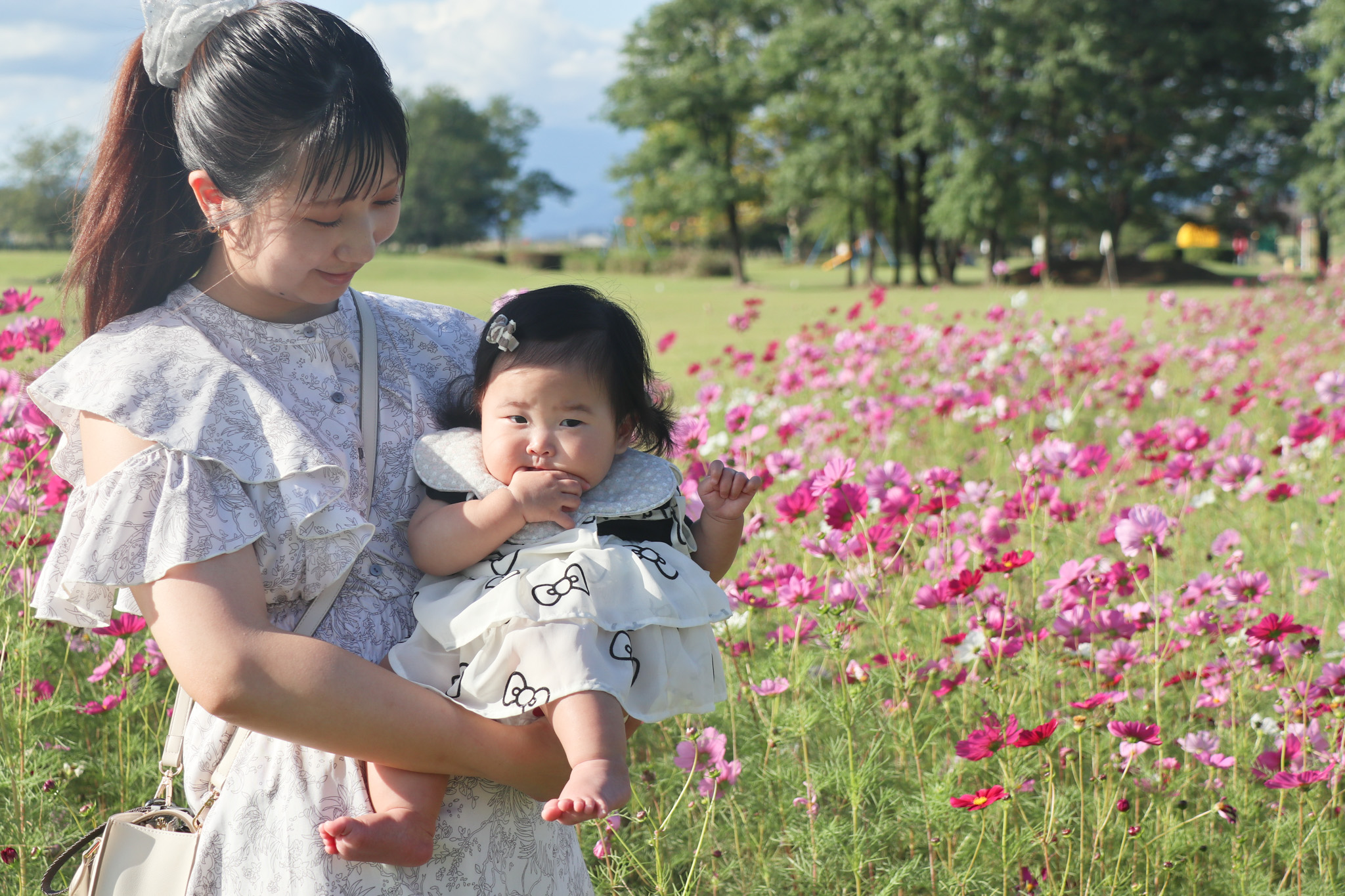 コスモス撮影会(5)_お母さんとお子さん コスモス撮影会(5)_お母さんとお子さん
