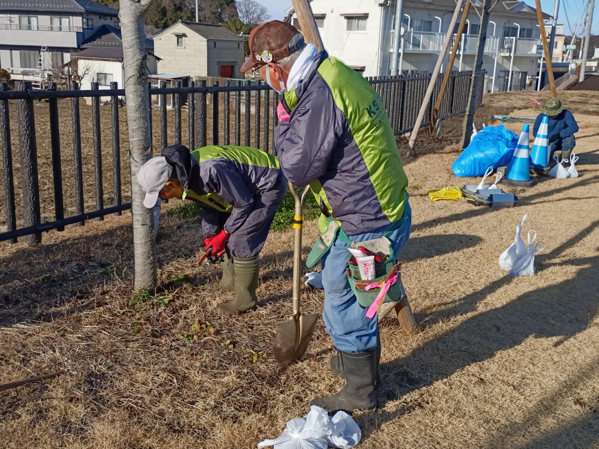 施肥作業の様子1 施肥作業の様子1