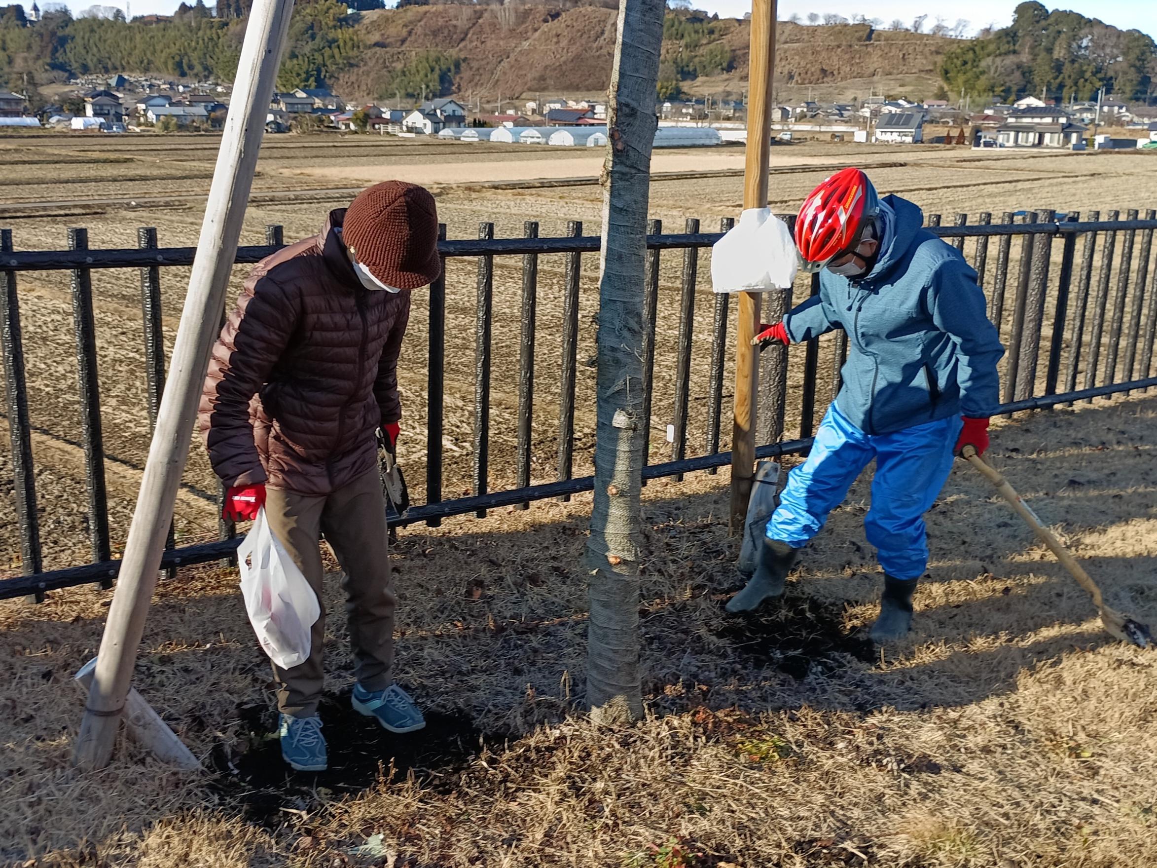 施肥作業の様子3 施肥作業の様子3