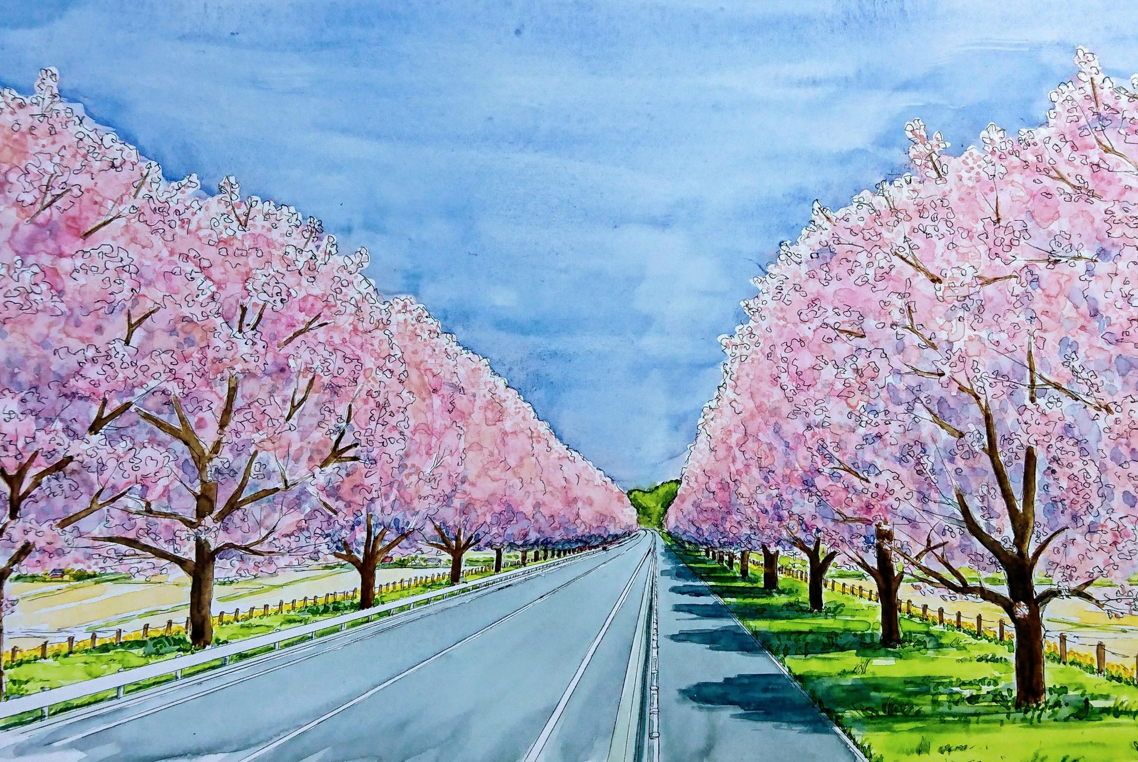 早乙女桜並木完成予想図