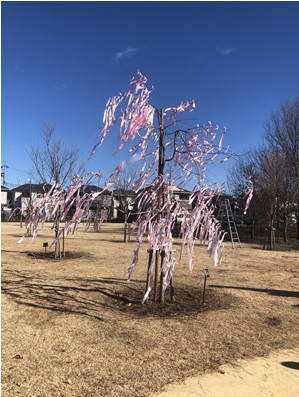 さくらリボンプロジェクト