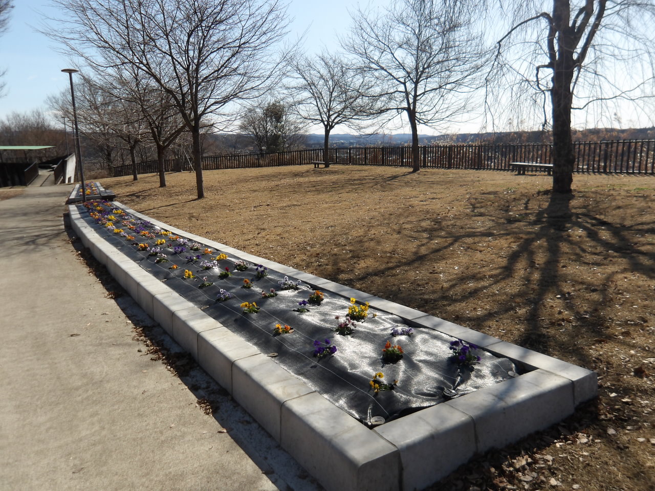 お丸山公園園路