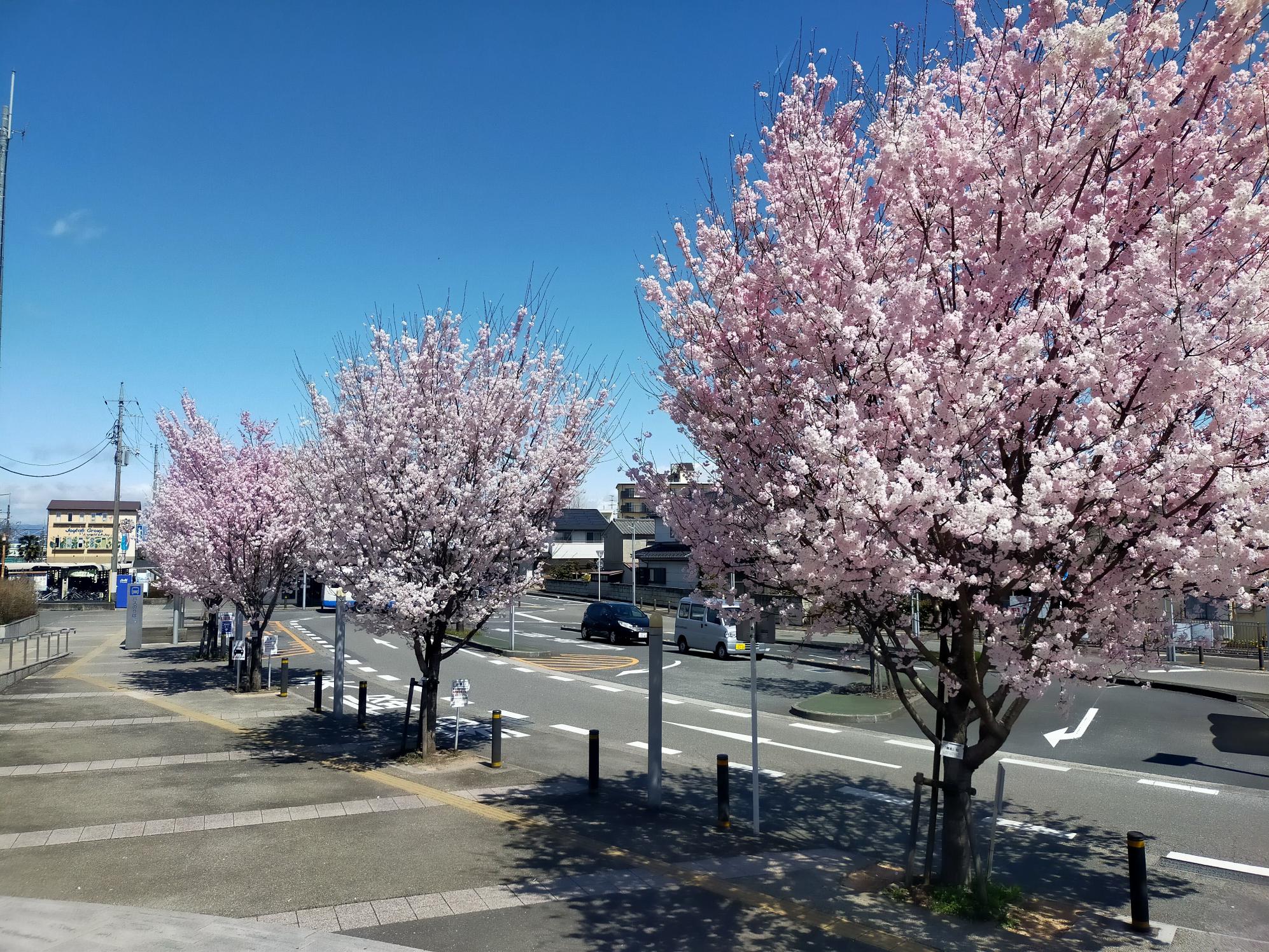 交通広場 交通広場