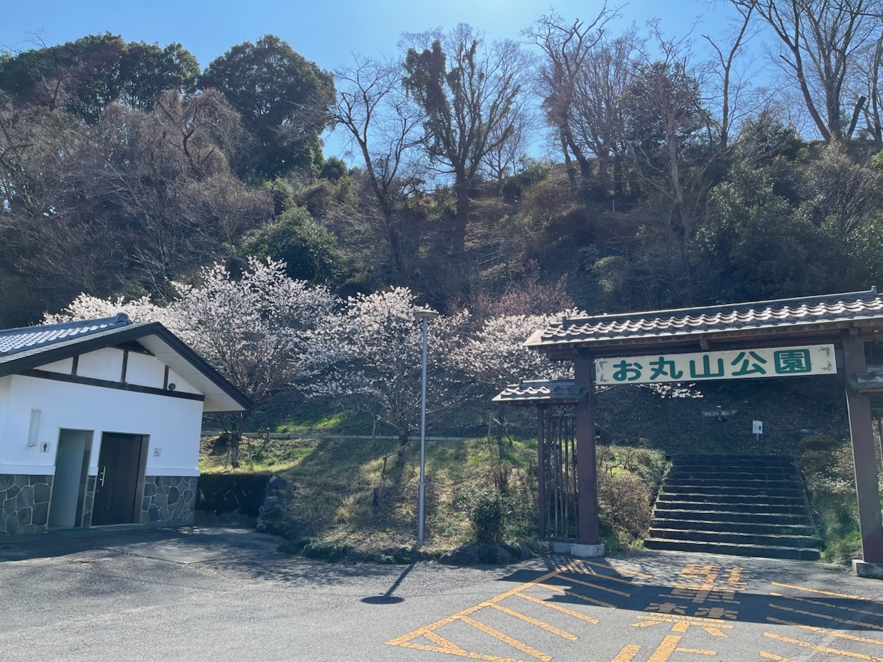 3月17日お丸山公園支所側入口