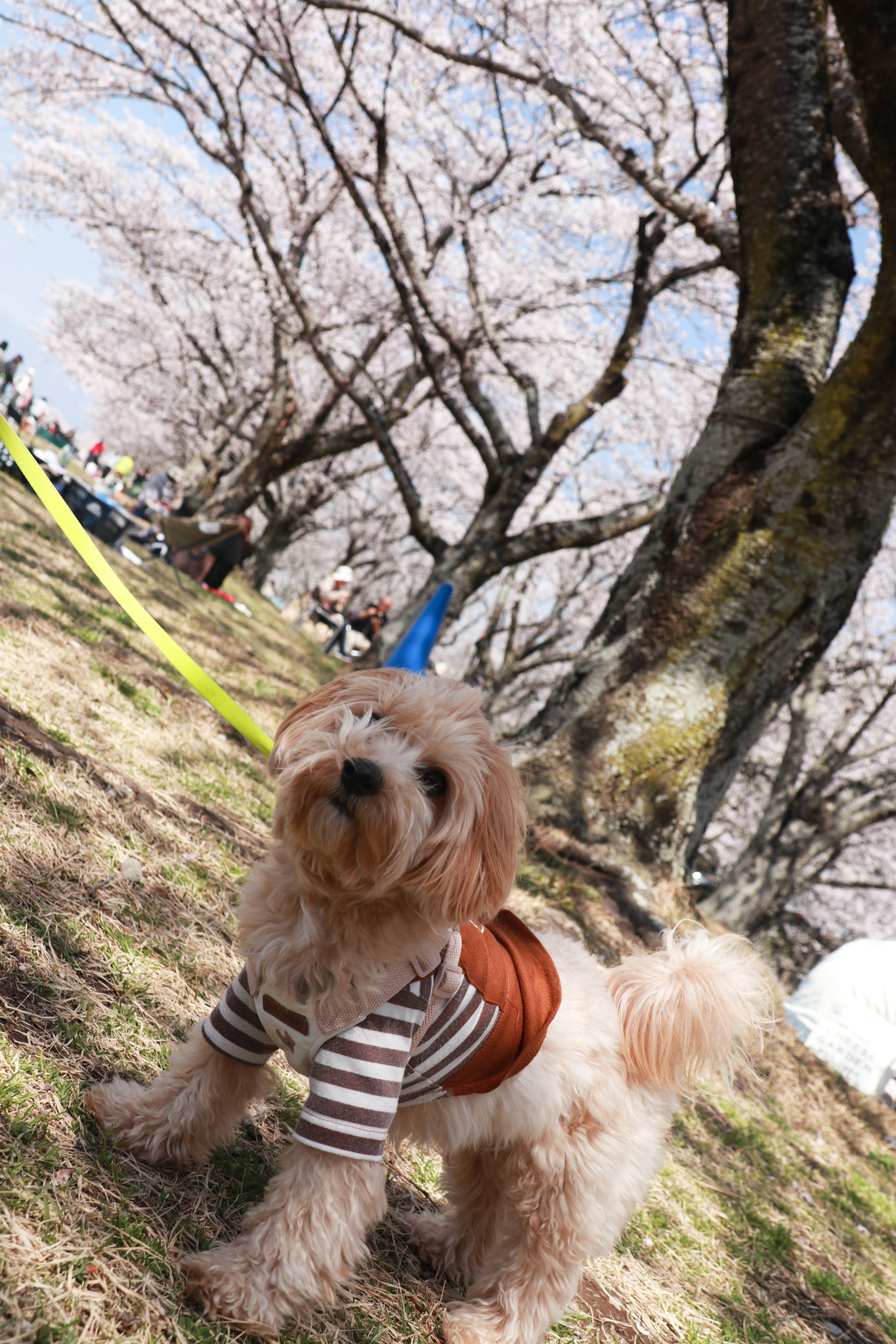 とっておき撮影会写真23