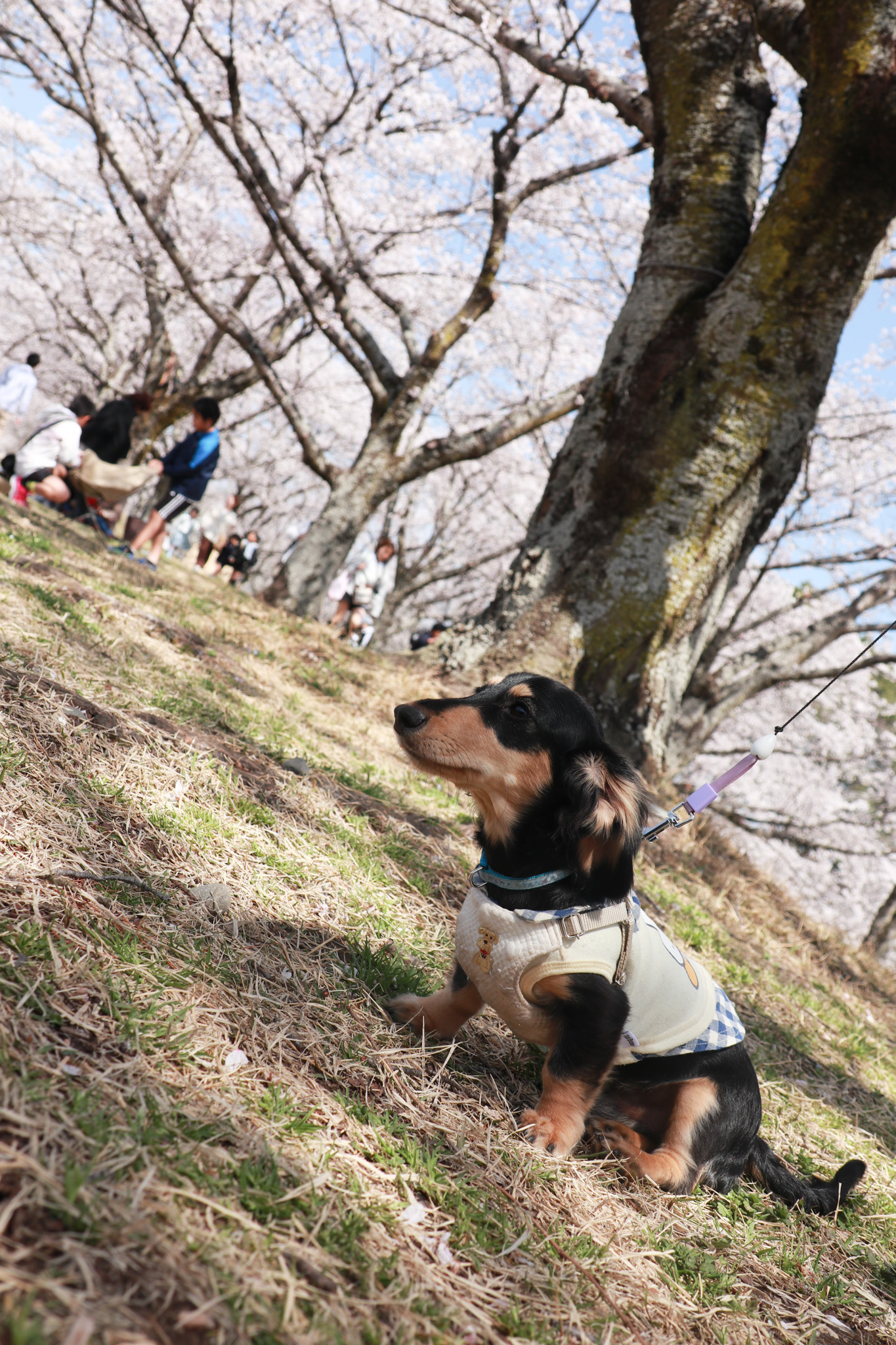 とっておき撮影会写真12