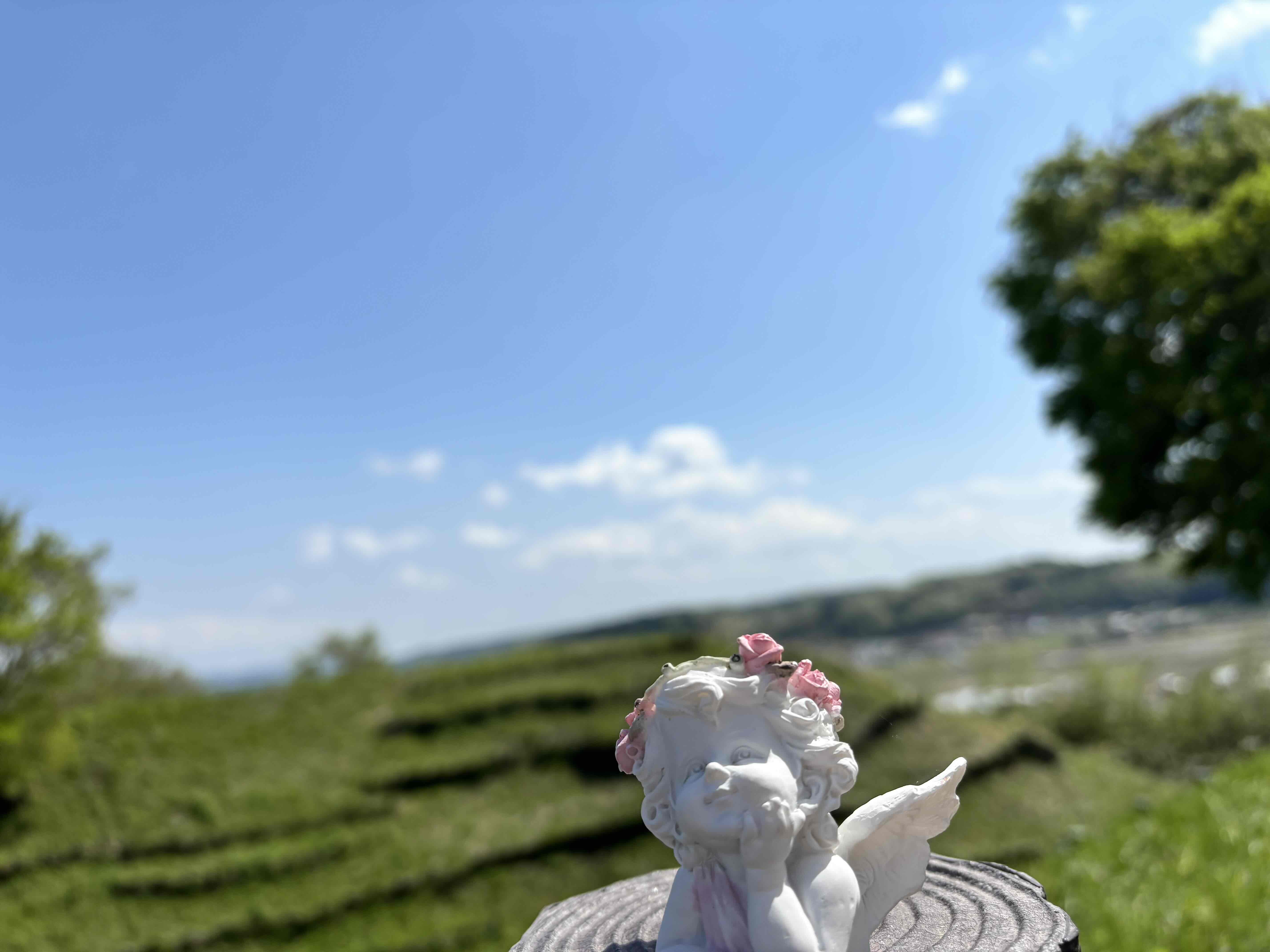 「お丸山の天使ちゃん」髙野かなえ