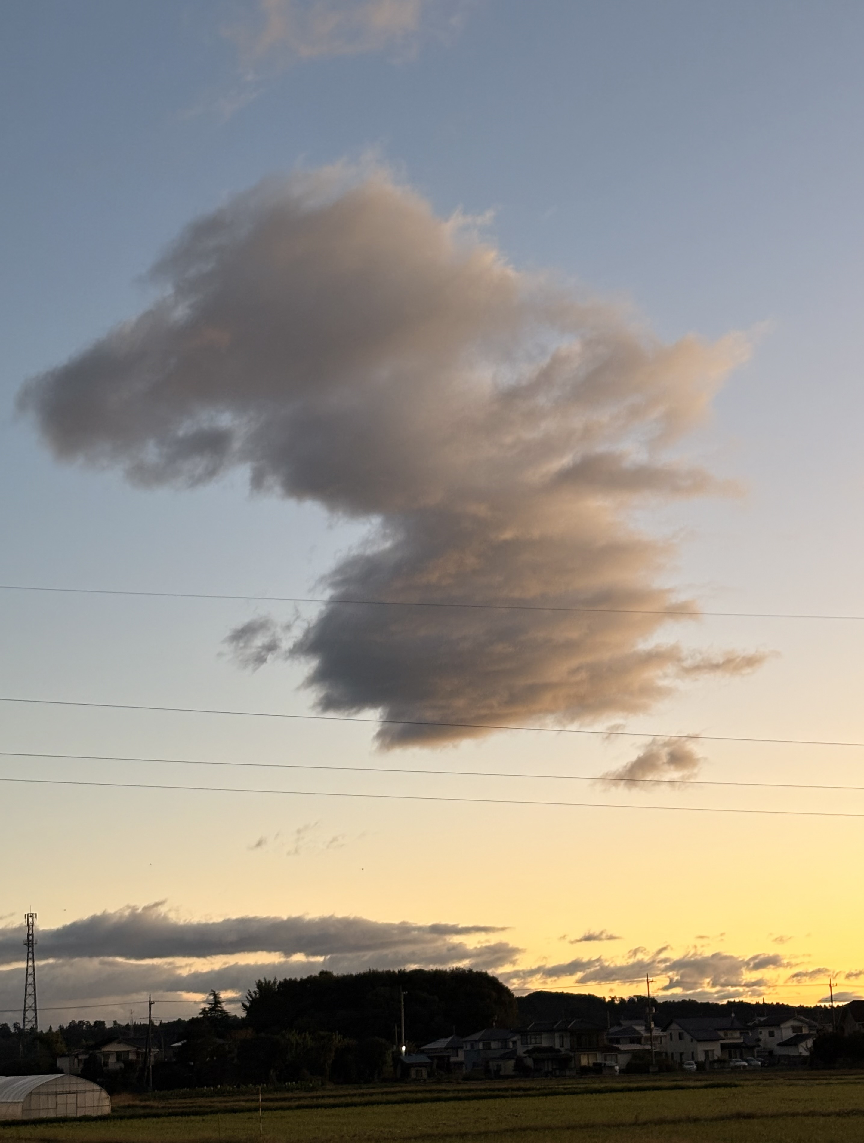 冬空【ゴジラ雲
