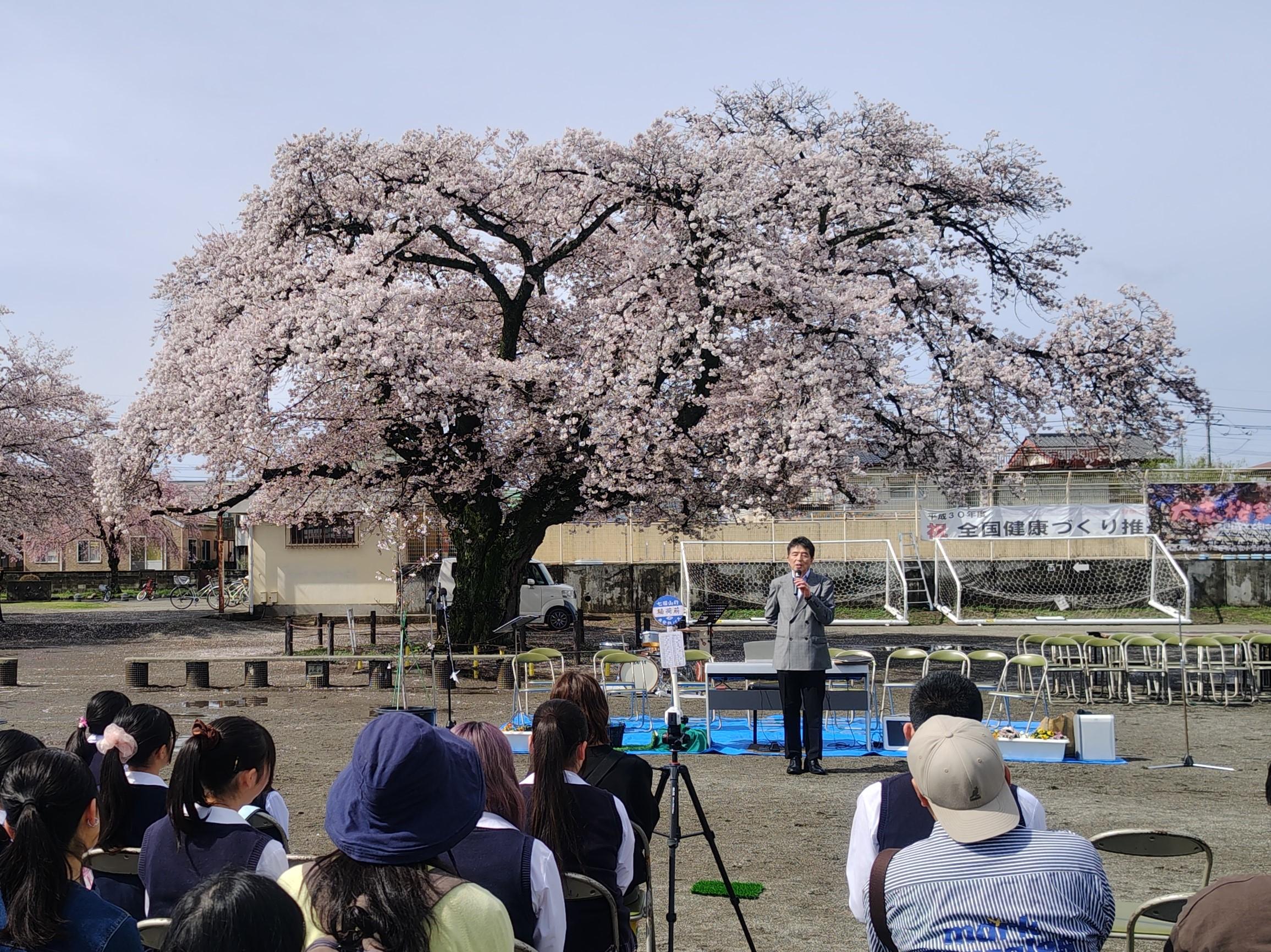 大志桜まつりでの市長挨拶の写真