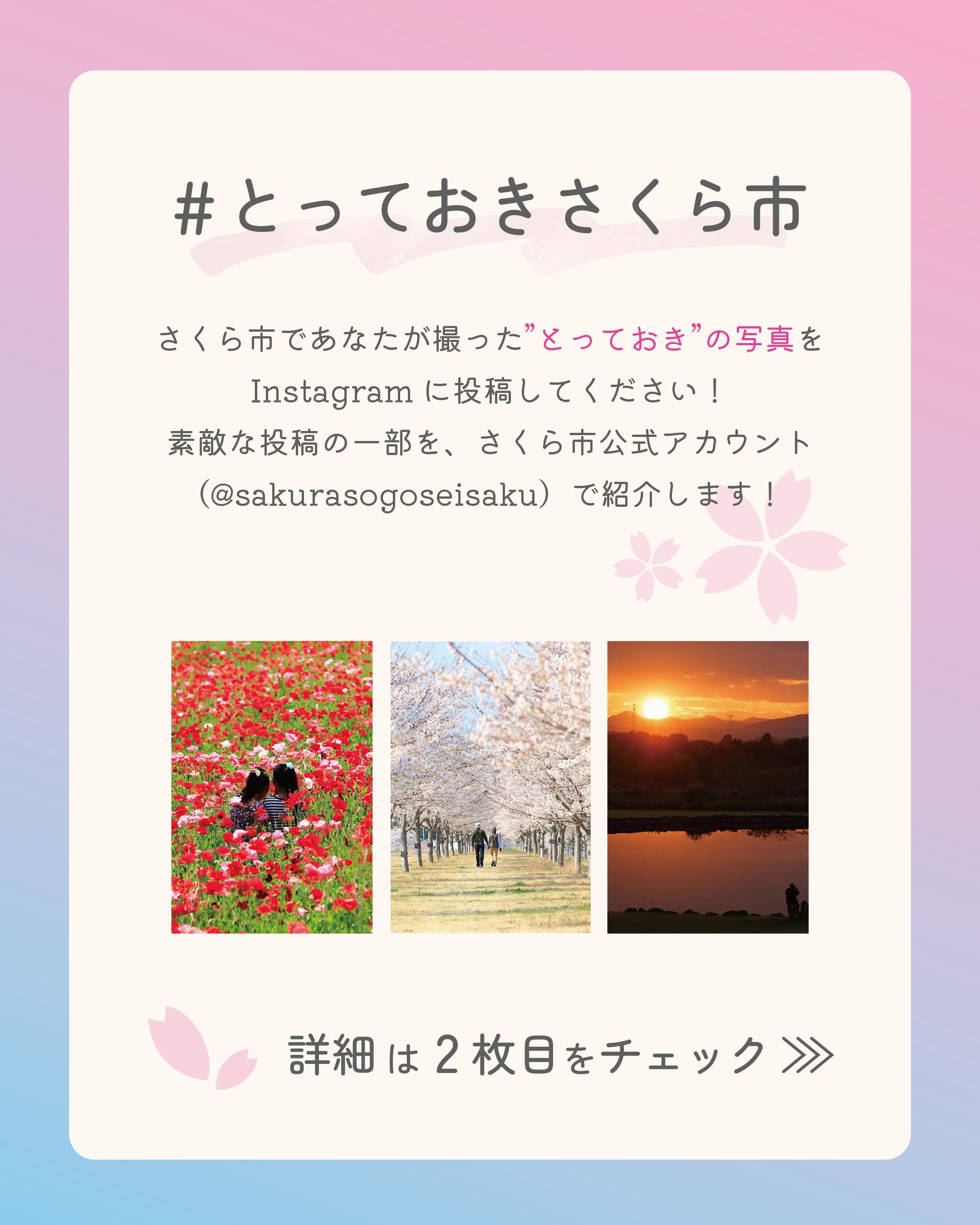 撮っておき。さくら市1 撮っておき。さくら市1