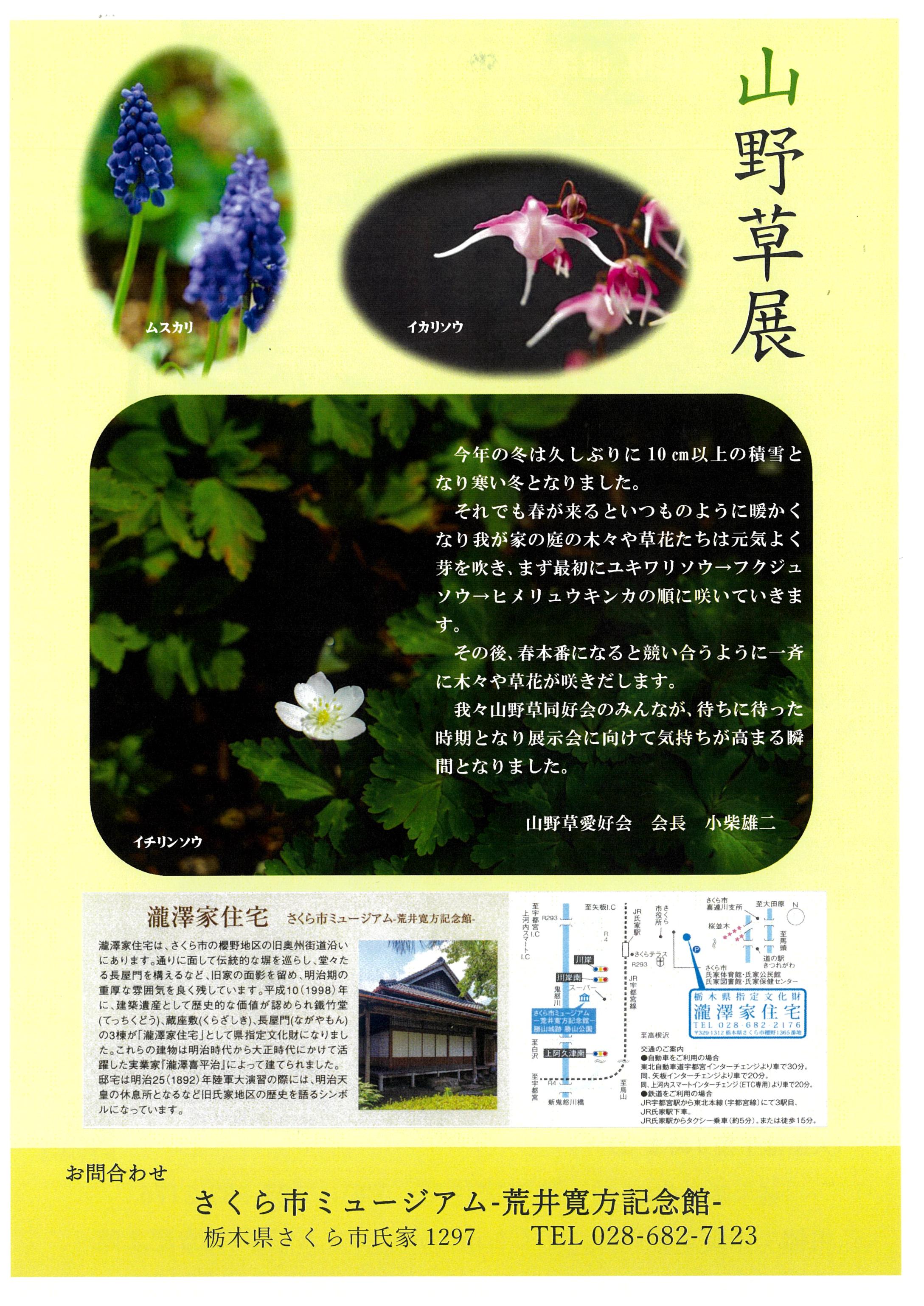 チラシ裏面