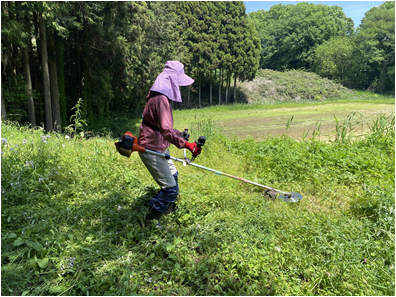 武田2 武田2
