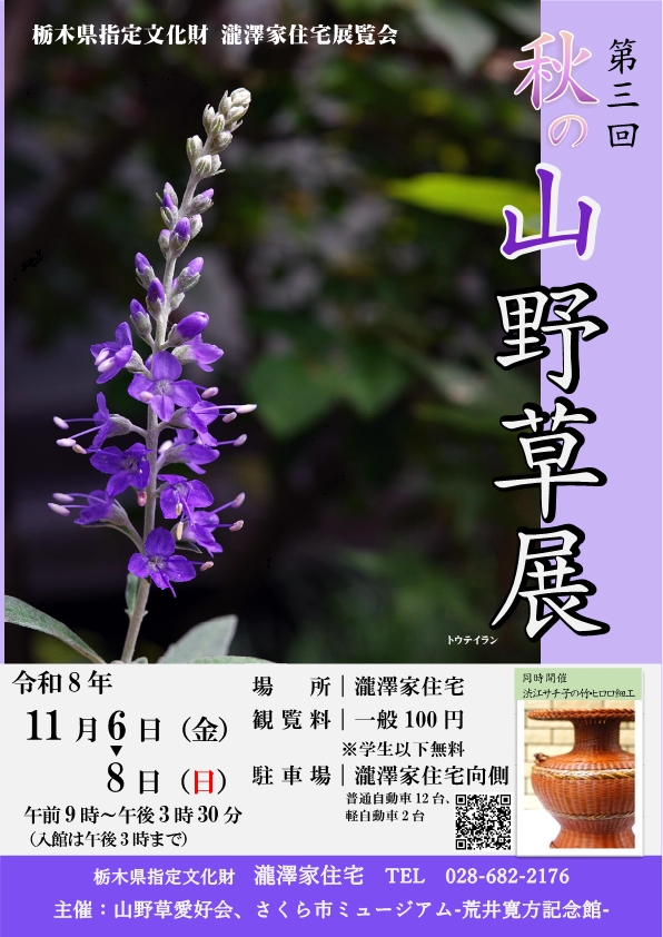 秋の山野草展チラシ_1