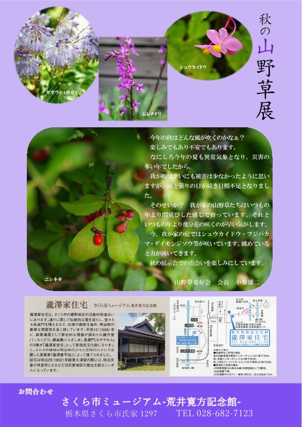 秋の山野草展チラシ_裏