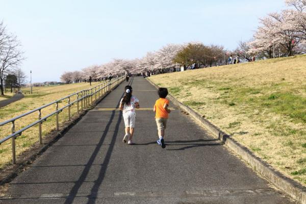 ゆうゆうパーク