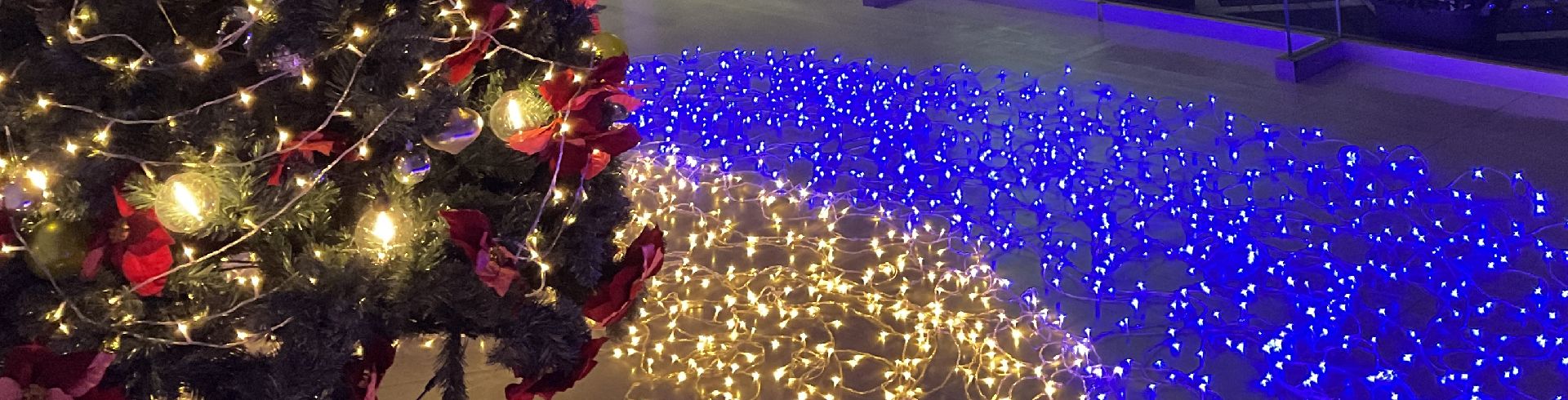 さくらテラス プロジェクションマッピング