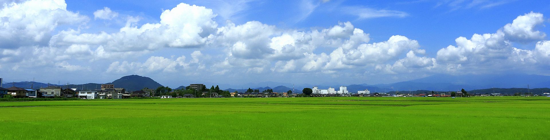 さくら市馬場　田園風景