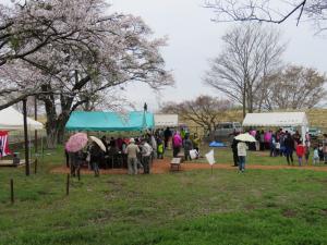 やひょう桜公園の写真3
